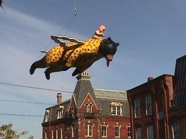 Some bears are flying over Belfast
          streets