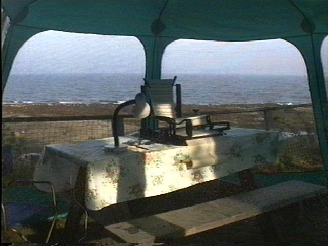 Leabarjan Model #5 perforator